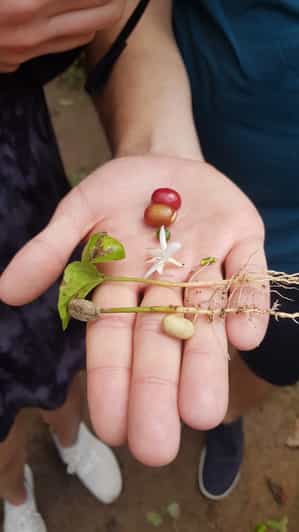 Colagem de mídia