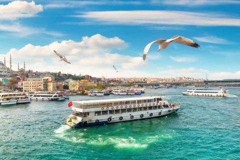 Istanbul: Hagia Sophia, Blue Mosque, Bosphorus Cruise, Lunch