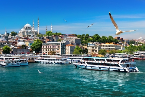 Istanbul: Bosporus-cruise, bustour en kabelbaanrit