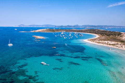 Ibiza: crucero a Formentera con barra libre y buffet