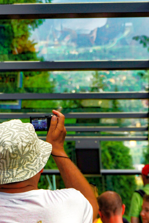 Galería de fotos para redes