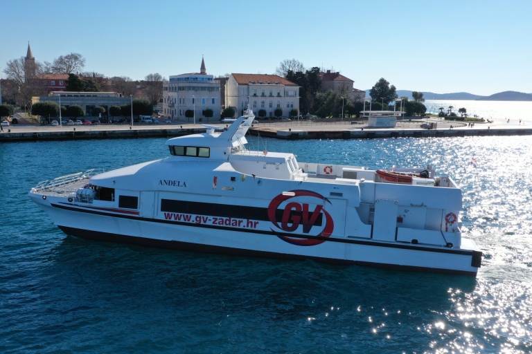 From Rovinj: Venice Boat Trip with Day or One-Way Option From Venice: One Way Ticket to Rovinj by Boat