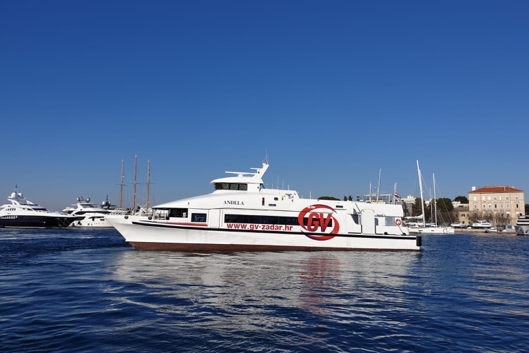 From Rovinj: Venice Boat Trip with Day or One-Way Option From Rovinj: One Way Ticket to Venice by Boat from Rovinj