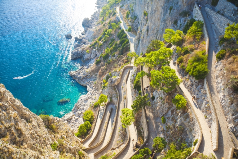 Ab Neapel: Bootstour nach Capri oder zur AmalfiküsteAb Neapel: Bootstour zur Insel Capri