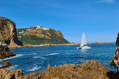 From Knysna: Sunset cruise with bubbly and dinner