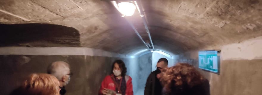 Almeria: billet pour les abris de la guerre civile espagnole et visite officielle