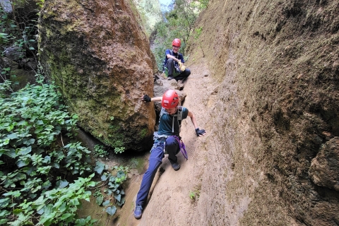 Tenerife: Los Arcos Canyoning Trip with Canyoning Guide