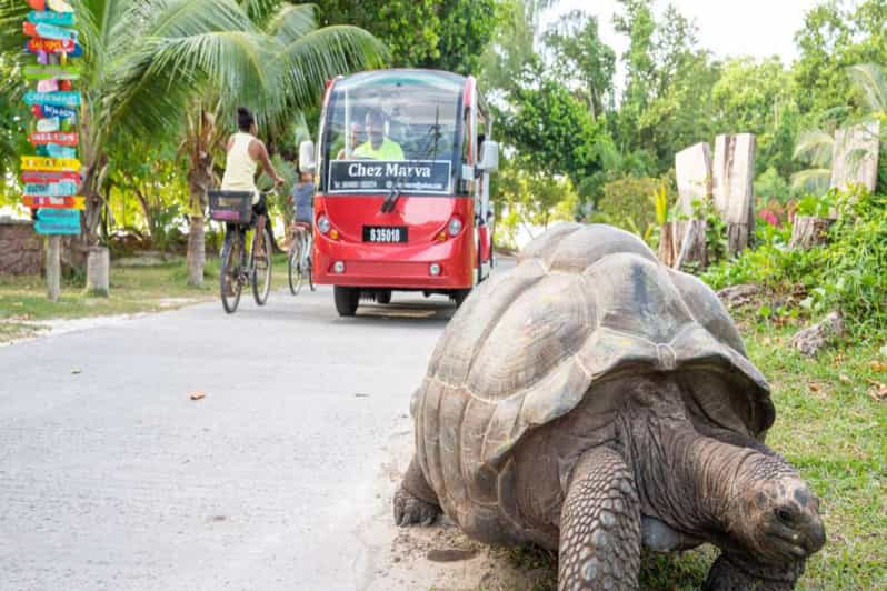 From Praslin La Digue Boat Trip with Bike Rental GetYourGuide