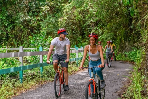 Montego Bay: Blue Mountain Bicycle Tour with Brunch & Lunch
