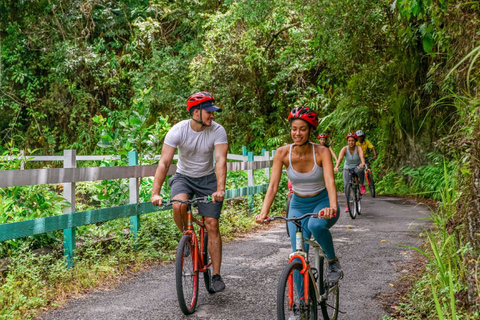 Montego Bay: Blue Mountain Bicycle Tour mit Brunch & Mittagessen