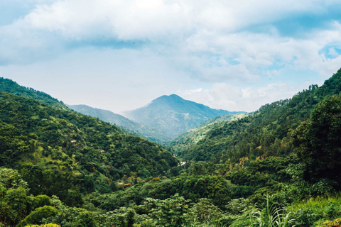 Montego Bay: visite à vélo de Blue Mountain avec brunch et déjeuner