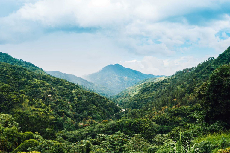 Montego Bay: visite à vélo de Blue Mountain avec brunch et déjeuner