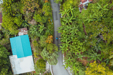 Montego Bay: visite à vélo de Blue Mountain avec brunch et déjeuner