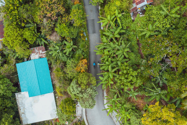 Montego Bay: visite à vélo de Blue Mountain avec brunch et déjeuner