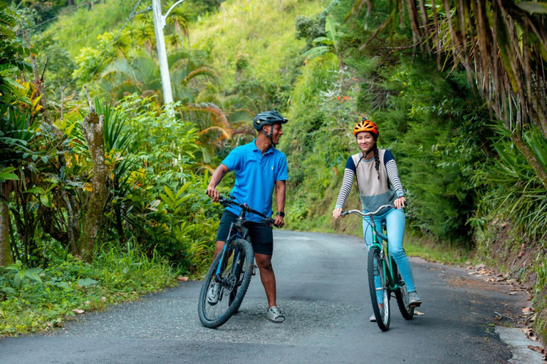 Montego Bay: Blue Mountain Bicycle Tour mit Brunch & Mittagessen