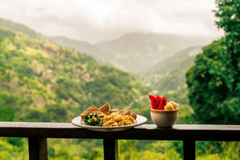 Montego Bay: Blue Mountain-fietstocht met brunch en lunch