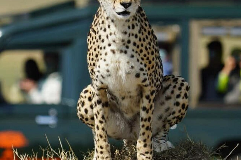 Nairobi National Park Scenic Wildlife-Packed Half-Day safari