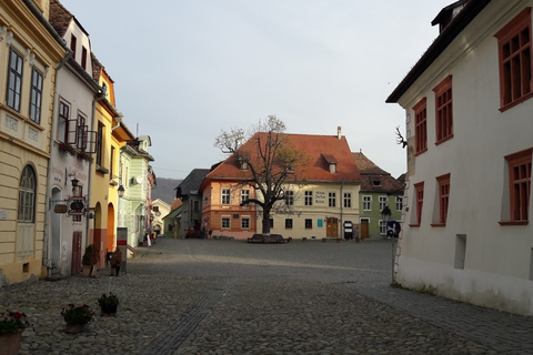 Depuis Cluj-Napoca : journée sur les traces du comte DraculaExcursion privée