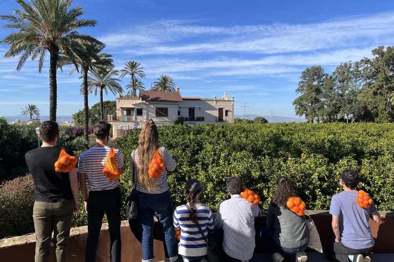Valencia: viaje a la granja de naranjas y al huerto con degustaciones