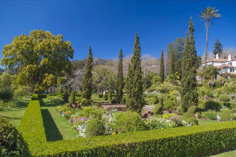 Funchal tour privato in tuk tuk dei giardini di Palheiro e della città