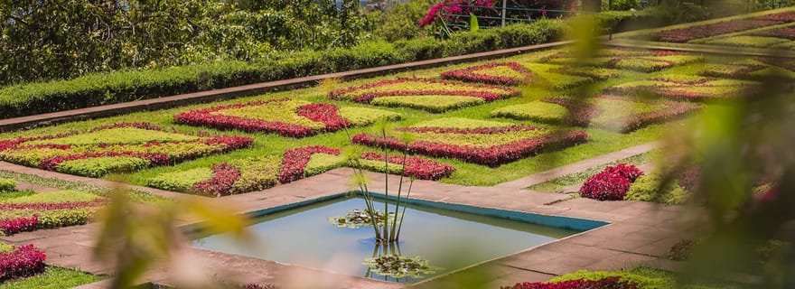 Funchal : visite privée en tuk-tuk du jardin botanique et de la vieille ville