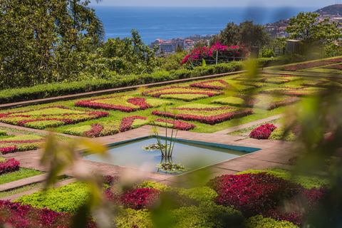 Funchal: visite privée en tuk tuk du jardin botanique de Madère