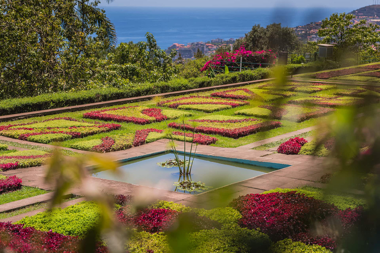 Funchal: tour privado en tuk tuk al jardín botánico de Madeira