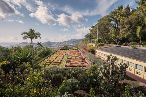 Funchal: privé Tuk Tuk-tour naar de botanische tuin van Madeira