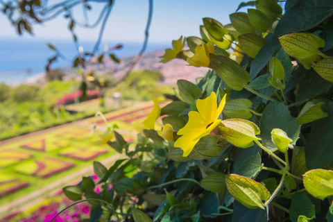 Funchal: privé Tuk Tuk-tour naar de botanische tuin van Madeira