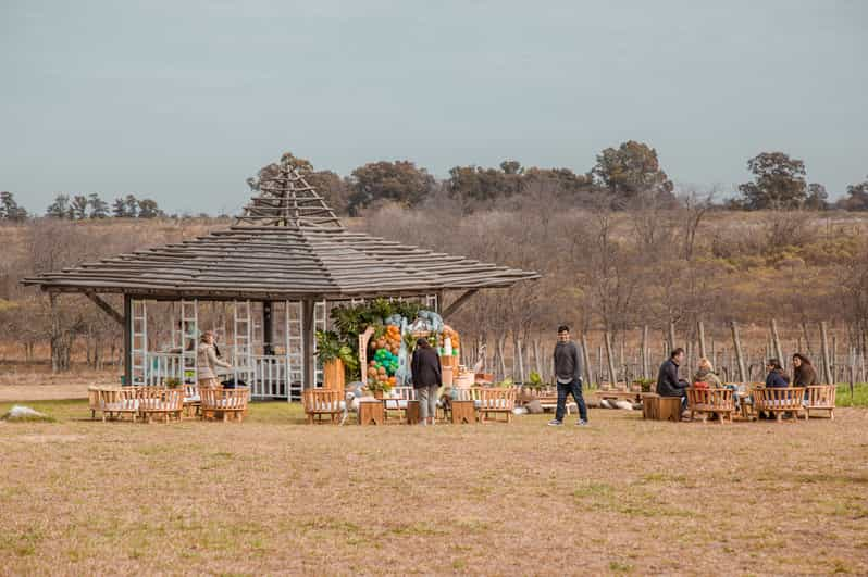 buenos aires vineyard tour