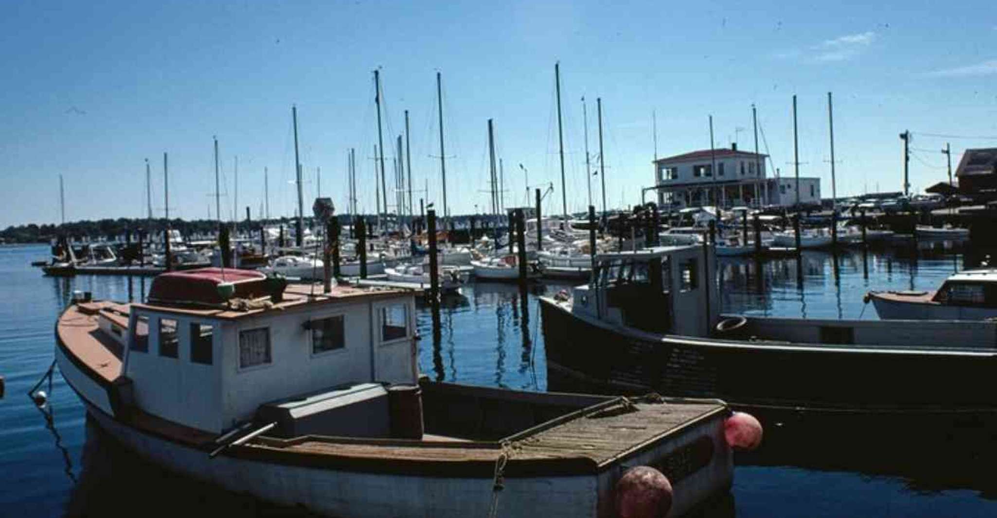 Newport, Ocean Drive Historic District Self-Guided Tour - Hizvo