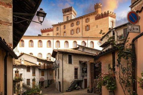 Milan: Barolo Vineyards & UNESCO Wine Cathedral Experience