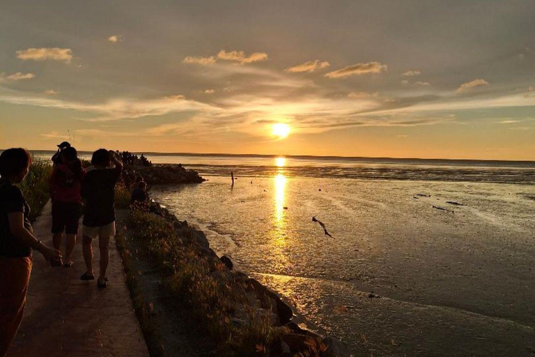 Penang: Balik Pulau Guided Tour with Food Tasting