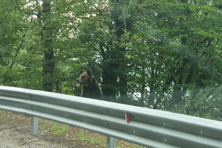 Desde Bucarest: excursión privada de un día a la autopista Transfagarasan