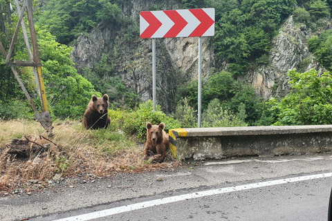 Von Bukarest: Privater Tagesausflug auf die Transfagarasan-Autobahn