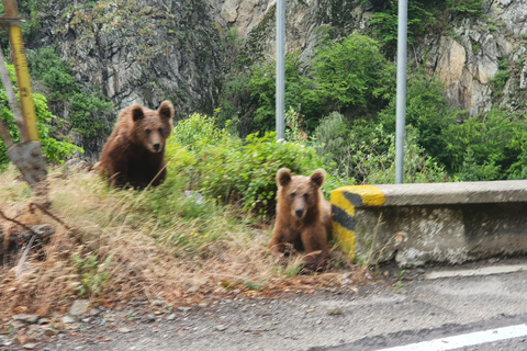 Desde Bucarest: tour privado de 2 días por la autopista Transfagarasan