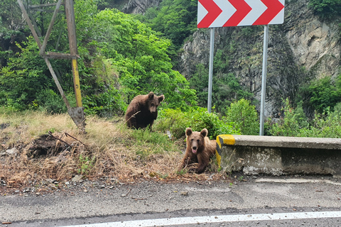 De Bucarest: visite privée de 2 jours sur l'autoroute Transfagarasan