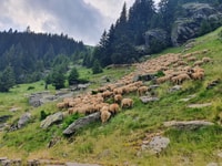 11 giorni di tour guidato privato in Romania - Housity