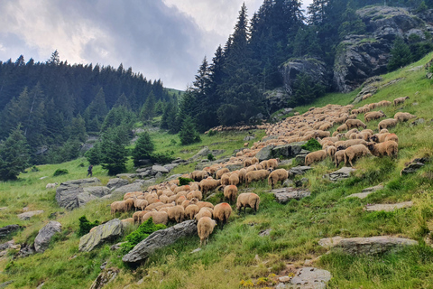 De Bucarest: visite privée de la Roumanie, de la Moldavie et de la Transnistrie