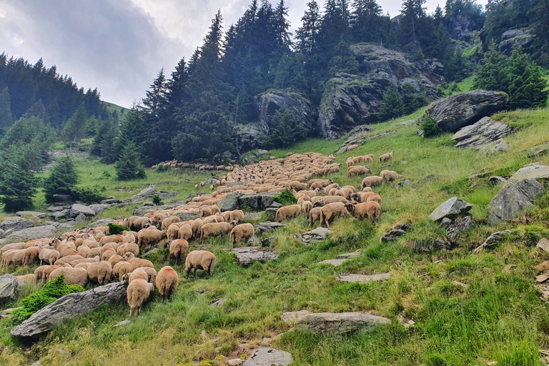 Von Bukarest aus: Rumänien, Moldawien & Transnistrien Private Tour