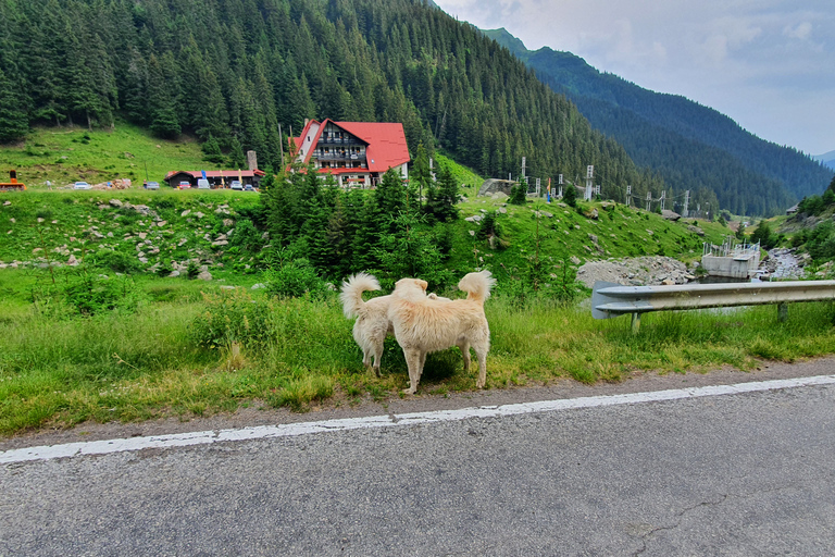 Von Bukarest aus: Rumänien, Moldawien & Transnistrien Private Tour