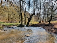 Witten Muttental Audio Rally von P.I.Sir Peter Morgan - Housity