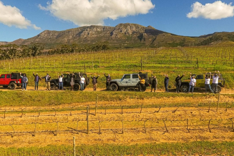 Ciudad del Cabo: tour privado del vino en jeep Constantia con degustaciones