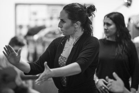 Granada: Clase de Flamenco con el Elenco del Tablao La Alboreá