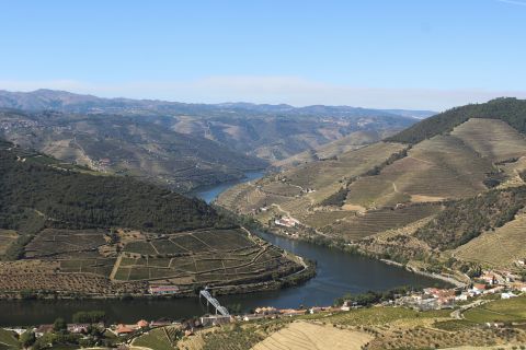 From Porto: Douro Valley Wine Tasting, Lunch and Boat Cruise
