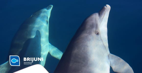 Ab Pula: Sonnenuntergangsfahrt mit Delfinbeobachtung