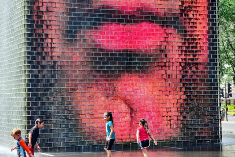 Chicago: Millennium Park Guided Walking Tour