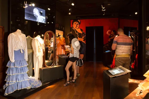 Sevilla: Adgangsbillet til Museum for Flamencodans