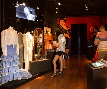 Seville: Museum of Flamenco Dance Admission Ticket