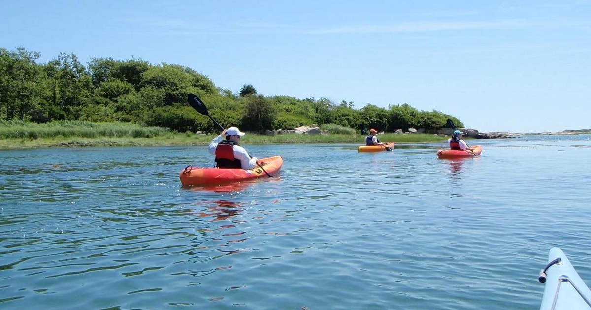 Biddeford Pool Half Day Kayak or SUP Rental GetYourGuide